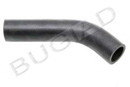 Шланг радиатора