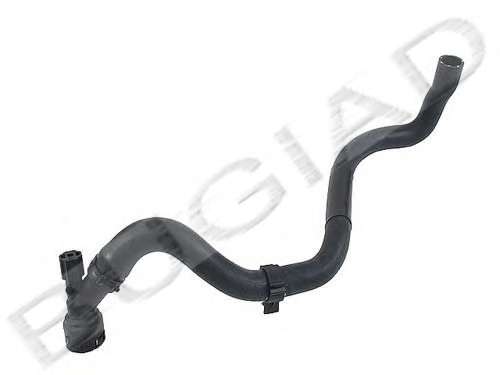 Шланг радиатора