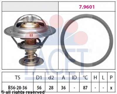 Термостат, охлаждающая жидкость