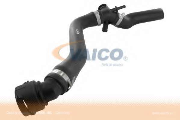 Шланг радиатора