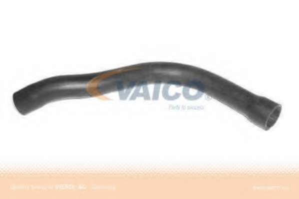 Шланг радиатора