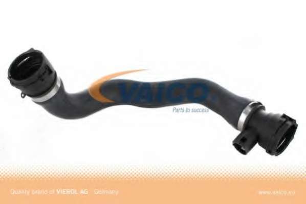 Шланг радиатора