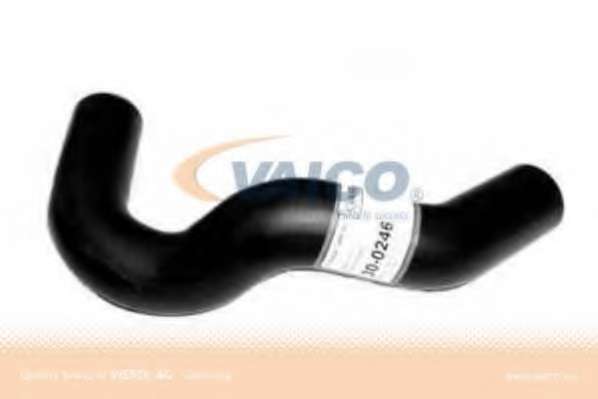 Шланг радиатора