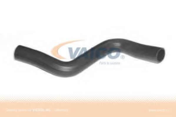 Шланг радиатора