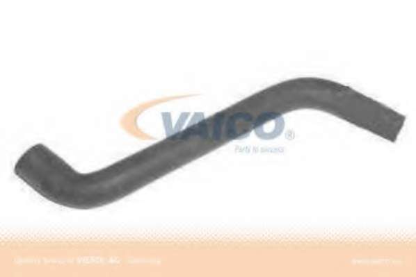 Шланг радиатора