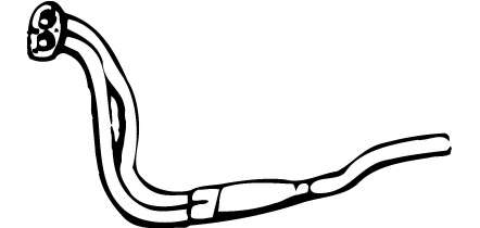 Труба выхлопного газа