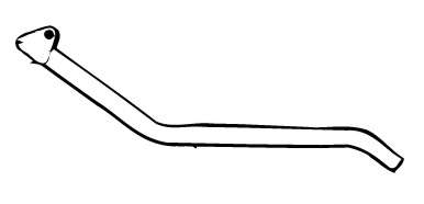 Труба выхлопного газа