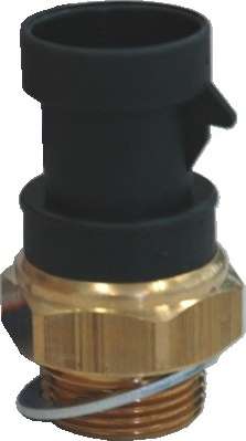 Термовыключатель, вентилятор радиатора