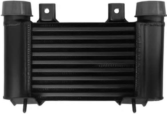 Интеркулер