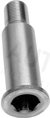 Коренная шейка, рычаг натяжного ролика