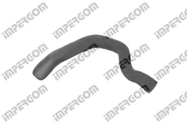 Шланг радиатора