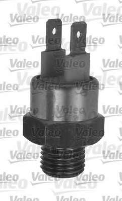 Термовимикач, вентилятор радіатора