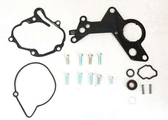 Ремкомплект, топливный насос