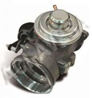 Клапан возврата ОГ