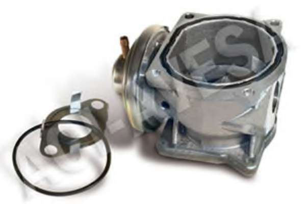 Клапан возврата ОГ