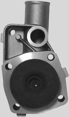 Водяной насос