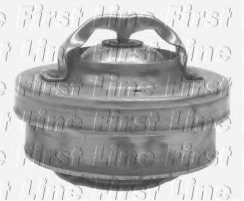 Термостат, охлаждающая жидкость