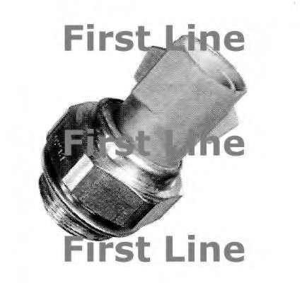 Термовыключатель, вентилятор радиатора