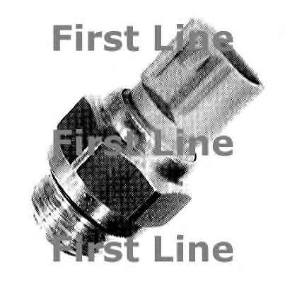 Термовыключатель, вентилятор радиатора