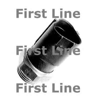 Термовыключатель, вентилятор радиатора