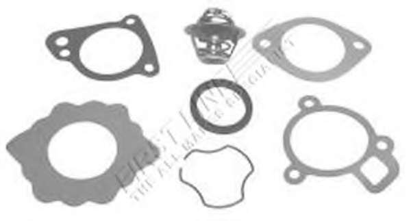 Термостат, охлаждающая жидкость