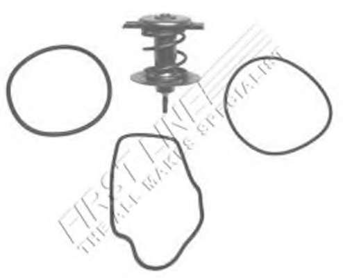 Термостат, охлаждающая жидкость