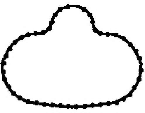 Прокладка, впускной коллектор