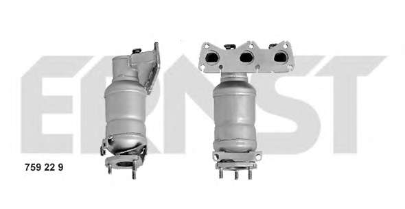 Катализатор. Катализатор коллектора