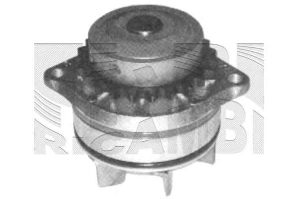 Водяной насос