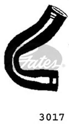 Шланг радиатора