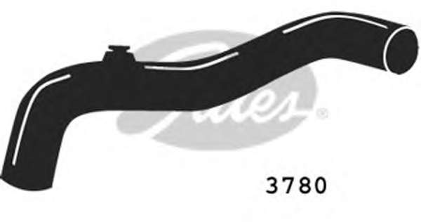 Шланг радиатора