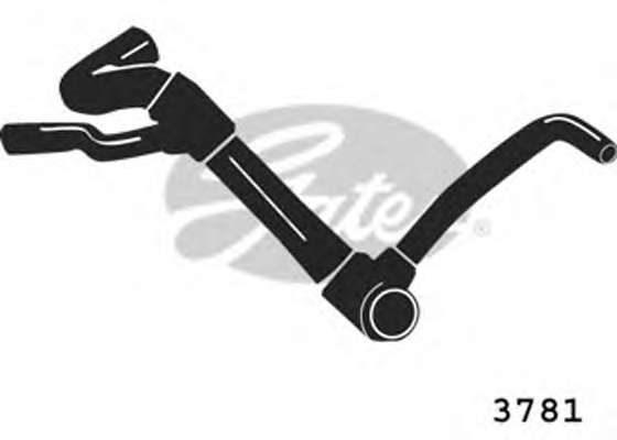 Шланг радиатора