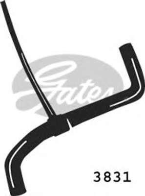 Шланг радиатора