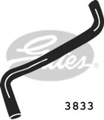 Шланг радиатора