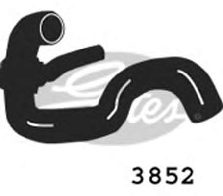 Шланг радиатора