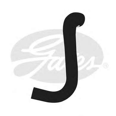 Шланг радиатора