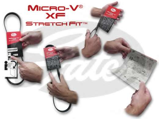 Ремінь генератора Citroen C3/C4/Peugeot 307 1.4-1.6HDi 02-