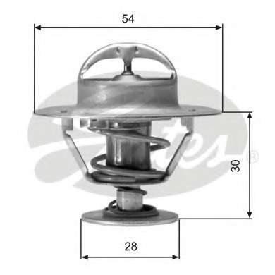 Термостат, охлаждающая жидкость