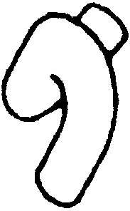 Шланг радиатора