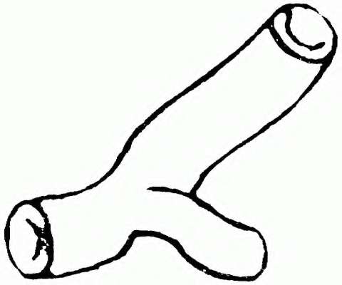 Шланг радиатора