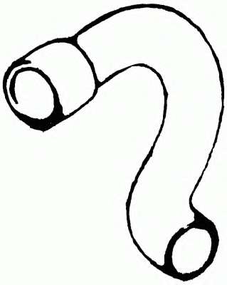 Шланг радиатора