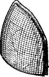 Фонарь указателя поворота
