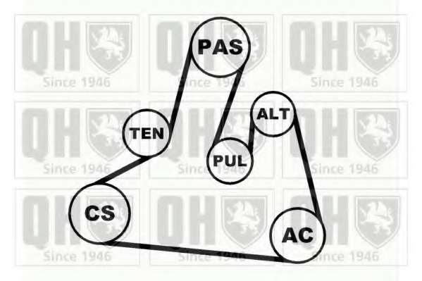 Поликлиновой ременный комплект