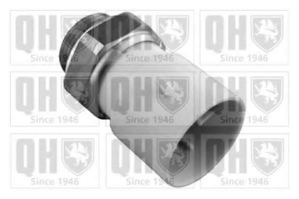 Термовыключатель, вентилятор радиатора