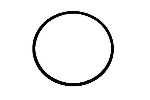 Прокладка, впускной коллектор