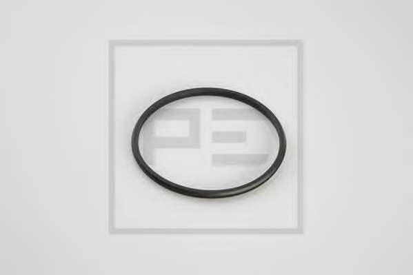 Уплотнительное кольцо