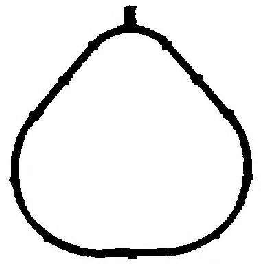 Прокладка, впускной коллектор