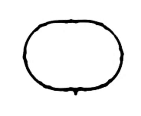 Прокладка, впускной коллектор