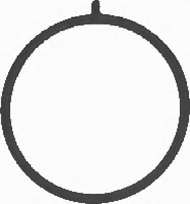 Прокладка, впускной коллектор