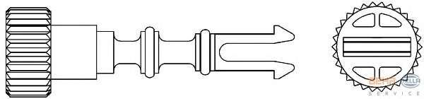 Болт, пробка радиатора